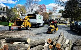 How Our Tree Care Process Works  in  Britton, SD